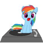  cute epilepsy_warning equine female feral friendship_is_magic hair low_res mammal multi-colored_hair my_little_pony pegasus purple_eyes rainbow_dash_(mlp) rainbow_hair sitting solo tomdantherock tomtherock turntable wings 