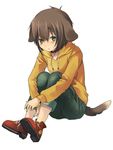  animal_ears brown_hair collar denim dog_ears dog_tail green_eyes hood hood_down hoodie jeans leg_hug naname_(danbooru_maker) original pants short_hair sitting solo tail 