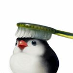  bird blue_eyes brush brushing chick lowres no_humans original penguin realistic simple_background solo tochimiki_(toichi) toothbrush white_background 