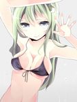  against_glass arms_up bad_id bad_pixiv_id bikini black_bikini blue_eyes frog green_hair hair_ornament kochiya_sanae long_hair mihatarou solo swimsuit touhou upper_body 