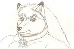  canine collar dog dog_tags ears husky jt male mammal pencil sketch solo 