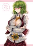  ascot belt between_breasts blush breast_hold breasts cleavage crossed_arms flower green_hair kazami_yuuka large_breasts nail_polish panzer red_eyes short_hair solo sunflower tears touhou 
