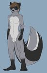  anthro blue_eyes brown_hair countershade_tail flaccid hair looking_at_viewer male mammal nude penis pinup pose raccoon skunk_tail smile solo standing striped_tail sunn uncut 