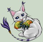  ambiguous_gender blue_eyes brittlebear cat claws digimon feline gatomon pink_nose realistic slit_pupils solo tail tail_ring whiskers white 
