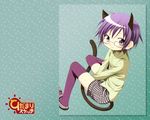  animal_ears aoki_ume cat_ears cat_tail glasses hidamari_sketch official_art purple_legwear sae shirt shoes shorts sitting smile solo t-shirt tail thighhighs v_arms 