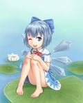  barefoot cirno feet kata-kori lily_pad one_eye_closed sitting smile solo touhou water 