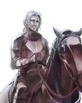  arashi_(chocmint) armor bad_id bad_pixiv_id barding caster_(fate/zero) fate/zero fate_(series) horse knight male_focus ponytail solo 