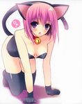  all_fours animal_ears bare_shoulders bell bell_collar black_gloves black_legwear blush breasts cat_ears cat_tail cleavage collar copyright_request fake_animal_ears fang gloves medium_breasts pink_hair purple_eyes short_hair smile solo suzuhira_hiro tail thighhighs 