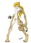  anthro blonde_hair breasts cheetah feline female hair mammal navel nipples nude ponytail pussy small_breasts solo spots tail yamavu 