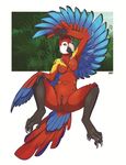  anthro anus avian beak bird breasts feathers female iggi looking_at_viewer looking_back lying macaw nipples non-mammal_breasts nude on_back parrot pinup plump_labia pose presenting presenting_pussy pussy scarlet_macaw solo spread_legs spreading wings 