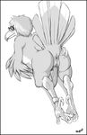  anthro anus avian back_turned beak butt eyewear genital_slit glasses greyscale hair looking_back male monochrome nude penis plain_background presenting presenting_hindquarters slit slug_(artist) solo tail_feathers talons tentacle_penis tentacles white_background winged_arms 