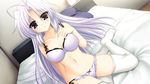  bed blush bra game_cg ikura_nagisa long_hair mashiro_summer panties thighhighs underwear white_hair yasaka_chihiru 
