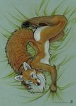  canine female fox green_eyes hindpaw looking_at_viewer mammal nude paws pinup pose shinigamigirl shy solo tail_pillow 
