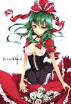  alternate_costume bad_id bad_pixiv_id breasts cleavage cofepig corset cover cover_page doujin_cover dress flower frills front_ponytail german green_hair hair_ribbon highres kagiyama_hina long_hair medium_breasts rating ribbon rose skirt_basket solo touhou translated white_flower white_rose yellow_eyes 