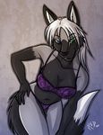  arctic_fox canine clothed clothing female fox heterochromia kadath looking_at_viewer mammal panties seductive silver_fox skimpy solo underwear 