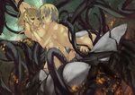  arms_up back blonde_hair blood blush breasts cassandra_(claymore) claymore cleavage cuts fang hand_on_another's_cheek hand_on_another's_face highres injury large_breasts lips long_hair mole multiple_girls navel nipples nude nyami pointy_ears restrained roxanne_(claymore) short_hair tentacles yellow_eyes yuri 