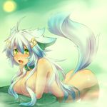  animal_ears bathing breasts collar green_eyes kuromiya large_breasts long_hair nude original shiromiya_asuka solo tail white_hair 