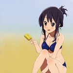  akiyama_mio bikini black_eyes black_hair blue_bikini highres k-on! long_hair navel official_art qplus solo swimsuit 