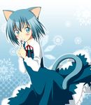  animal_ears bad_id bad_pixiv_id blue_background blue_eyes blue_hair cat_ears cat_tail cirno flower gradient gradient_background kemonomimi_mode looking_back oniku_(shimofuri-ke) short_hair smelling_flower solo tail touhou wings 