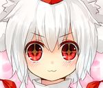  1girl :3 animal_ears bad_id bad_pixiv_id blush close-up face hat inubashiri_momiji pom_pom_(clothes) red_eyes sawatari_(sado) short_hair solo tokin_hat touhou v-shaped_eyebrows white_hair wolf_ears 