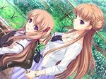  2girls blush brown_hair dutch_angle female flower game_cg garden hair_ribbon jewelry komori_kei long_hair looking_at_viewer mireille_maresse_ascot multiple_girls necklace noel_maresse_ascot noel_marres_ascot open_mouth ribbon siblings sisters walkure_romanze wheelchair wristband 