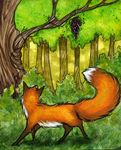  aya_braeden canine feral forest fox fruit grapes mammal outside scenery solo tree wood 
