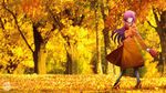  autumn elfen_lied lucy sitsumei syomei 