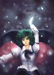  antennae arm_up bad_deviantart_id bad_id cape card green_eyes green_hair long_sleeves puffy_sleeves serious sheryth solo touhou wriggle_nightbug 