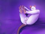  ear_piercing female fur hindpaw mammal nude paws piercing purple_background purple_theme pussy rat rodent solo spreading tryst_entangled white_fur 