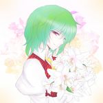  ao_(daisuki) bad_id bad_pixiv_id bouquet flower green_hair kazami_yuuka red_eyes short_hair smile solo touhou 