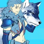  alternate_costume aqua_background armor blue blue_hair earrings fate/stay_night fate_(series) jewelry lancer long_hair male_focus polearm ponytail red_eyes rei_(sanbonzakura) scar solo spear vest weapon wolf 
