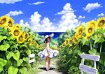  bare_legs bare_shoulders black_hair braid cloud copyright_request day dress field flower flower_field from_behind hand_on_headwear hat highres imaoka looking_back nature ocean open_mouth path road sandals scenery skirt sky sleeveless smile solo summer sundress sunflower twin_braids walking water white_skirt wide_shot 