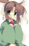  brown_hair chinese_clothes chiriko_(fushigi_yuugi) fushigi_yuugi green_eyes high_ponytail long_hair male_focus scroll solo yuuki_tsubasa 