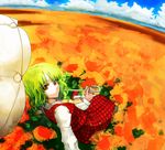  ascot bad_id bad_pixiv_id chirigami-san cloud field flower flower_field from_behind green_hair grey_eyes kazami_yuuka looking_back parasol plaid plaid_skirt plaid_vest reclining red_pupils skirt skirt_set smile solo sunflower touhou umbrella vest 