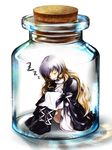  3d bad_id bad_pixiv_id bottle brown_eyes dress gradient_hair hijiri_byakuren in_bottle in_container leg_hug long_hair multicolored_hair narumizg silver_hair sitting sleeping sleeping_upright solo touhou turtleneck zzz 