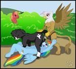  big_macintosh friendship_is_magic gilda jesslyra my_little_pony rainbow_dash 