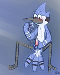  2011 anus avian bird blue_jay blush cobalthusky cum male masturbation mordecai penis regular_show solo 