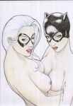  batman black_cat catwoman crossover dc jonatas marvel spider-man 