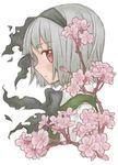  bad_id bad_pixiv_id black_hairband cherry_blossoms grey_hair gyokuto hairband konpaku_youmu red_eyes solo touhou 