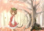  animal_ears autumn bad_id bad_pixiv_id brown_eyes brown_hair cat_ears cat_tail chen earrings forest hat jewelry leaf multiple_tails nature sanoharu short_hair solo tail touhou tree 