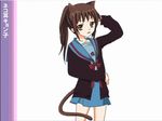  animal_ears artist_request cardigan cat_ears genderswap genderswap_(mtf) kita_high_school_uniform kyon kyonko ponytail school_uniform serafuku solo suzumiya_haruhi_no_yuuutsu tail 