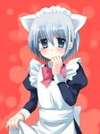  animal_ears ayasaki_hayate cat_ears chany crossdressing hayate_no_gotoku! maid male_focus otoko_no_ko solo 
