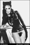  batman catwoman dc fakes julie_newmar 