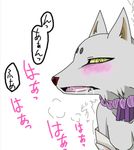  anal blush canine dog fur gay japanese_text kekkaishi madarao male mammal penetration plain_background pointy_ears text white_fur 