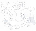  chao cheese_the_chao cream_the_rabbit excito sonic_team 