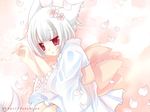  animal_ears bow cat_ears cherry_blossoms hinayuki_usa japanese_clothes kimono large_bow lying on_side original petals red_eyes short_hair solo white_hair 