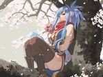  against_tree blue_hair brown_legwear cherry_blossoms fuchida_kazuhiro in_tree ninja ninja_(ragnarok_online) pink_eyes ponytail ragnarok_online red_scarf scarf sitting sitting_in_tree sleeveless solo thighhighs tree 