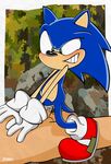  anthro balls blue_hair cum gay green_eyes hair hedgehog itomic male mammal nude penetration penis sega sex sonic_(series) sonic_team sonic_the_hedgehog 