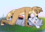  anthro blue_eyes blush brown_eyes brown_fur dosent frottage fur grey_fur humanoid_penis male male/male mammal mustelid nose_boop olive_(xylious) otter penis precum procyonid raccoon sex 