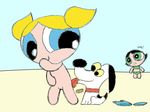  bubbles buttercup powerpuff_girls talking_dog tromic 